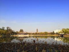 -西海子公园