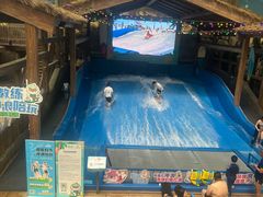 -杭州开元森泊度假乐园