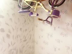 -金山农民画村-枫泾波兰倒置屋