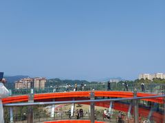 -恩阳古镇