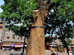 -青州古城