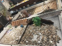 -比尔森啤酒自助烤肉(红旗街店)