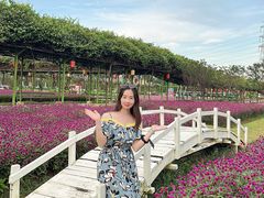 -盈香心动乐园