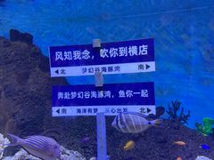 -横店影视城梦幻谷园区