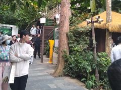 -野象谷景区