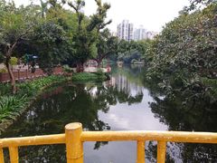 -晓港公园