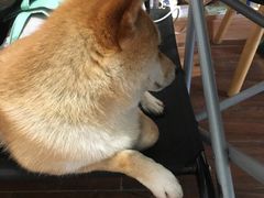 -About Bistro關於·泰式家庭料理