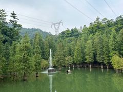 -广州市帽峰山景区