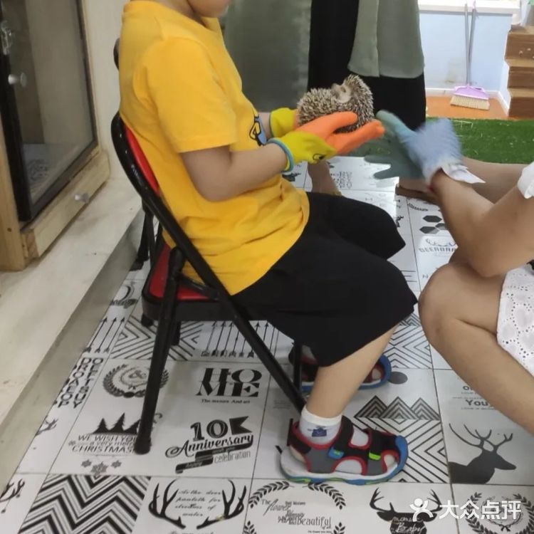 带孩子来南京亲子宠物乐园和萌宠互动吧！