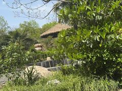 -西安国际创新人才交流中心•药浴温泉