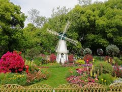 -上海共青森林公园