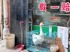 -老字号贾家肉丸糊辣汤(光明巷店)