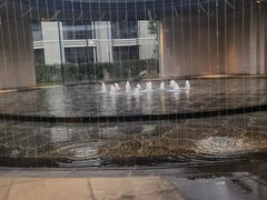 -南湖宾馆·鸳湖阁全日制餐厅