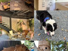 -J Create城市露营咖啡·简餐·宠物(上海动物园店)