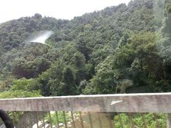 android_upload_pic-宁波浙东大竹海景区