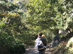 -北京鹫峰国家森林公园
