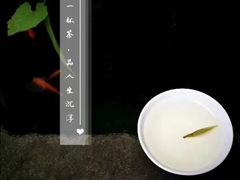 -白鹭原茶艺馆