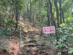-火炉山森林公园