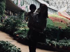 -花之城