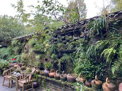 -青城甲(青城山店)