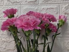 -来之顺海鲜菜馆·青岛菜(栈桥店)