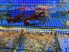 -大东海海鲜酒楼(渔人码头总店)