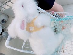 -怪兽屋·羊驼·猫咖·狗咖(俊华广场店)