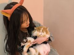-More Fun猫咖 二十只万元加菲主题
