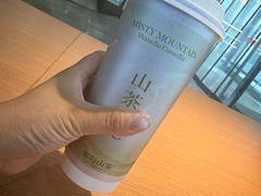 -雾与山茶(大禹城店)