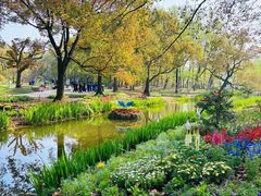 -上海共青森林公园