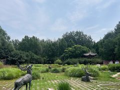 -北京麋鹿生态实验中心