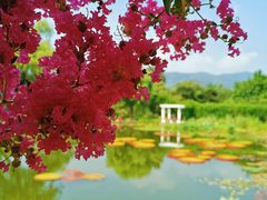 -国家植物园南园