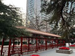 -中国人民解放军总医院