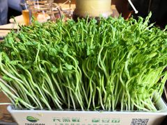 -云海肴·汽锅鸡·云南代表菜(天山百盛优客店)