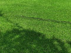 -瀛海足球主题公园