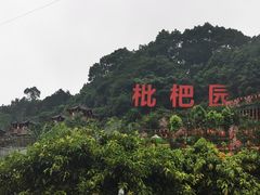 -枇杷园食为鲜火锅(南山店)
