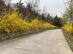 -北京鹫峰国家森林公园