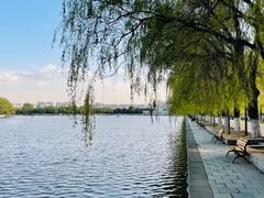 -北陵公园