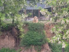 -石家庄市动物园