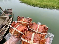 -君豪蟹都·湖景·农家乐(蟹舫苑店)