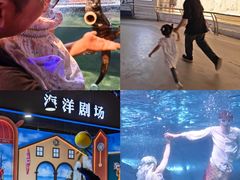 -重庆欢乐海底世界