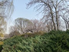 -太阳宫公园