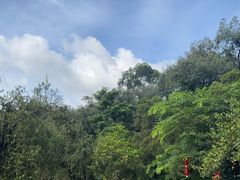 -广州莲花山旅游区