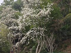 -团城山公园