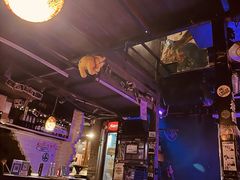 -后巷酒吧Back Alley(未来广场店)