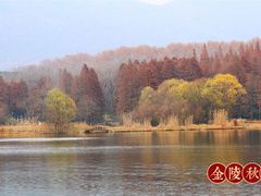 -灵谷景区