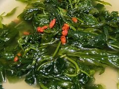 -优之名鹅城