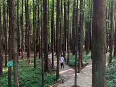 -山王坪喀斯特国家生态公园
