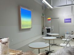 -怪兽屋·羊驼·猫咖·狗咖(俊华广场店)