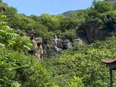 -云岫谷游猎自然风景区